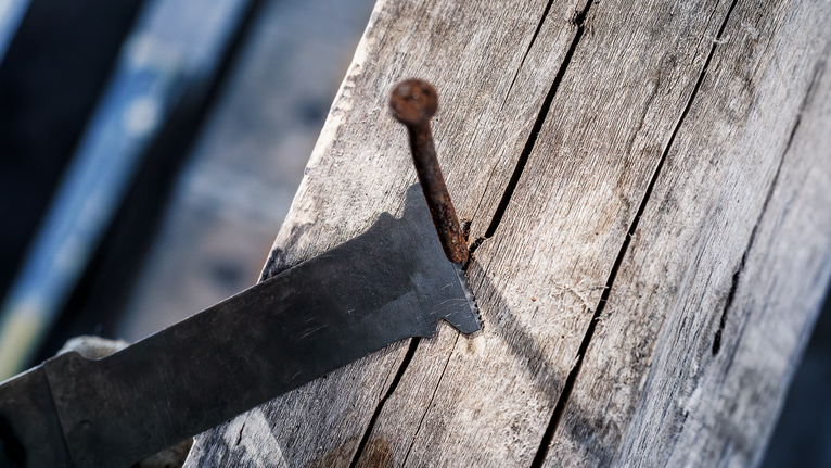 오래된 나무에 박힌 녹슨 못을 자르는 왕복 톱날.