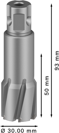 PRO Metal TCT 브로치 커터, 30 x 50 x 93mm 금속 드릴링을 위한 Bosch PRO Metal TCT 30mm 링 커터.