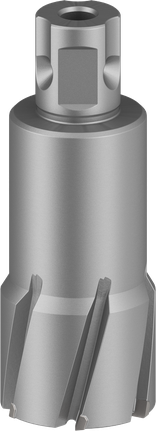PRO Metal TCT 브로치 커터, 35 x 50 x 93mm Bosch PRO Metal TCT 환형 커터 35 x 50 x 93mm.