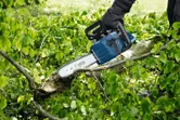 안전장비를 착용한 사람이 무선 전기톱으로 쓰러진 나무가지를 다듬고 있습니다.