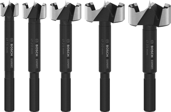 Bosch EXPERT 우드 포스트너 드릴 비트 세트, 5가지 사이즈.