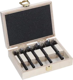 Bosch EXPERT 우드 포스트너 드릴 비트 세트 5개입.