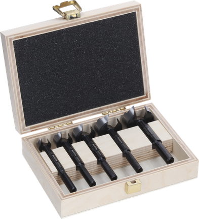 Bosch EXPERT 우드 포스트너 드릴 비트 세트 5개입.