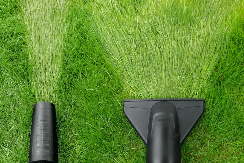 낙엽 청소기와 잔디 진공 청소기로 푸른 잔디밭에 깨끗한 길을 만듭니다.