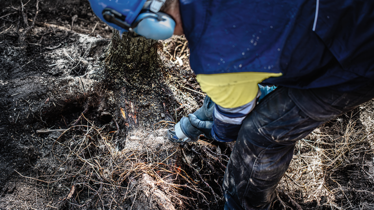 안전 장비를 착용한 사람이 전동 공구를 사용하여 야외에서 나무뿌리를 자르고 있습니다.