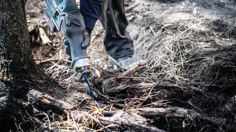한 사람이 전동톱을 이용해 흙 속의 나무뿌리를 자르고 있습니다.