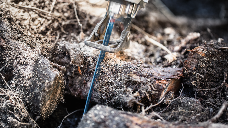 왕복톱으로 야외에서 두꺼운 나뭇가지를 자르는 모습.